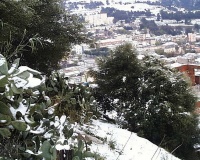 PIC00078