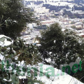 PIC00078