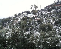 PIC00079