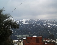 PIC00082