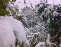 notre jardin
