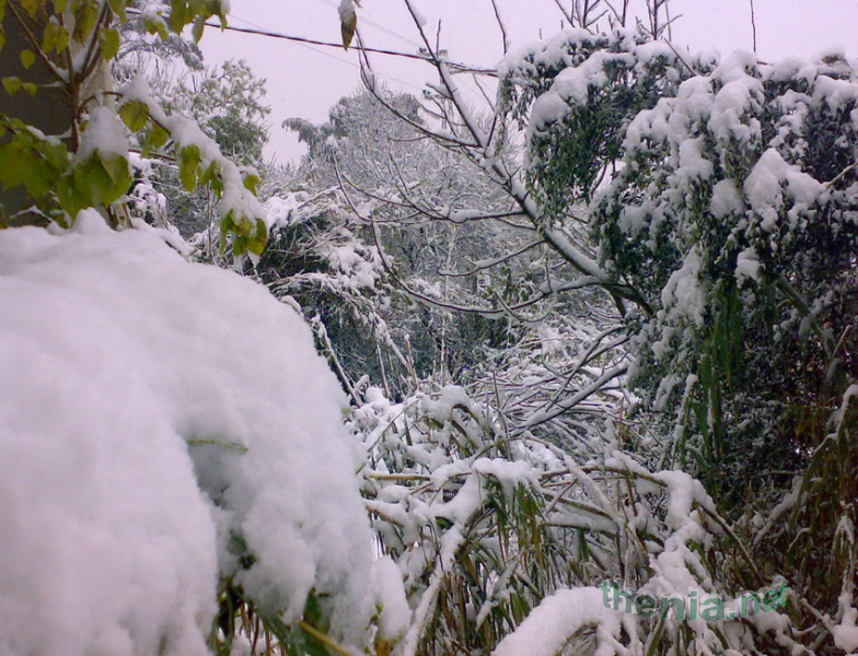 notre_jardin.jpg