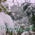 notre jardin