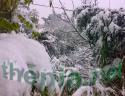 notre jardin