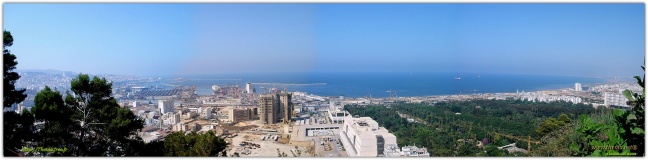 Alger1