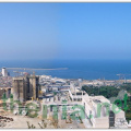 Alger1