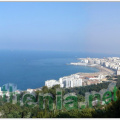 Alger2