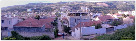 Panorama1