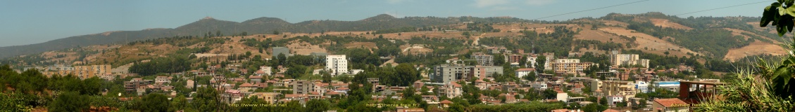 Thenia-2008
