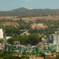 Thenia-2008