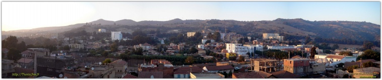 Thenia-pano