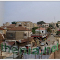 Thenia4