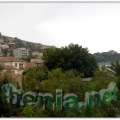 Thenia5