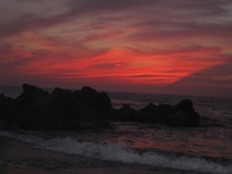 IMG 0519