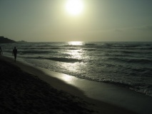 IMG 0653