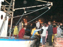 Djaff 293