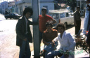 THENIA25