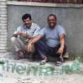 Thenia010
