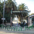 DSC04438