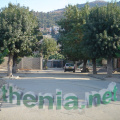 DSC04448