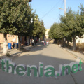 DSC04452