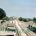 Image6