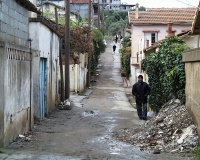 Photo003
