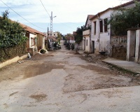 Photo007