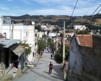Photo010