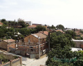 thenia051203-a31