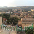 DSC00652