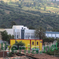 DSC00980