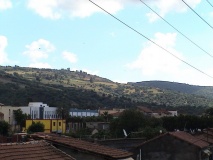 DSC00981