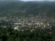 RIMG0001