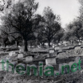 apiculture Thenia 75-04