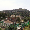 thenia051203-a30