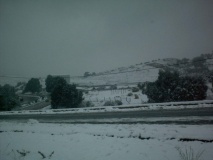 thenia1 resize