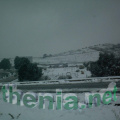 thenia1 resize