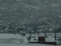 thenia resize