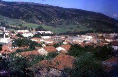 theniavuegle4