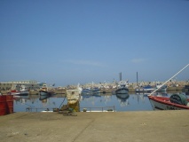 DSC01805
