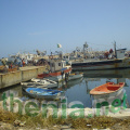 DSC01806