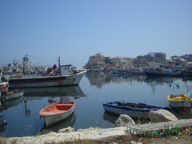 DSC01807.JPG