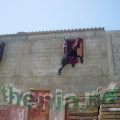 DSC01808