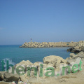 DSC01811