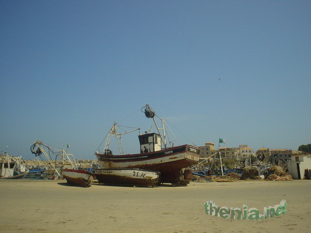 DSC01816.JPG