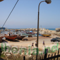 DSC03844