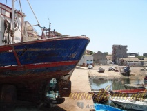 DSC03857