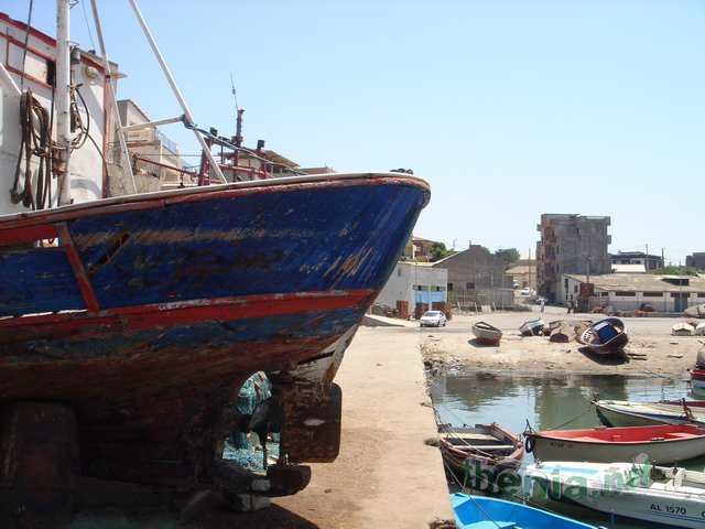 DSC03857.JPG