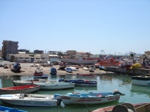 DSC03858